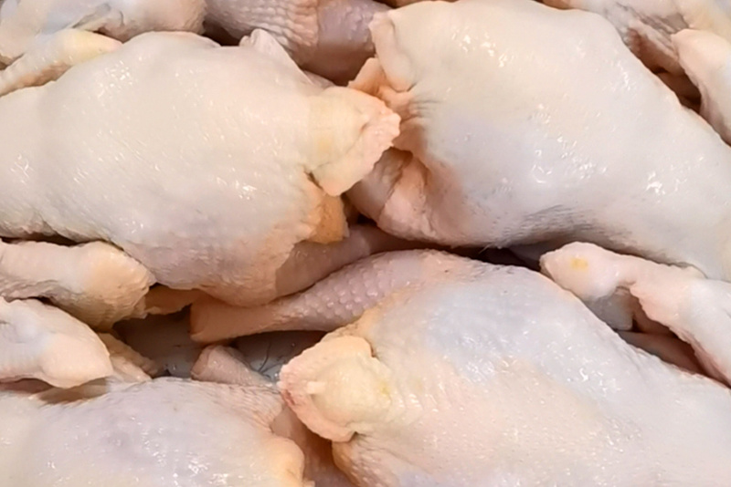 Suit chicken (fresh product)