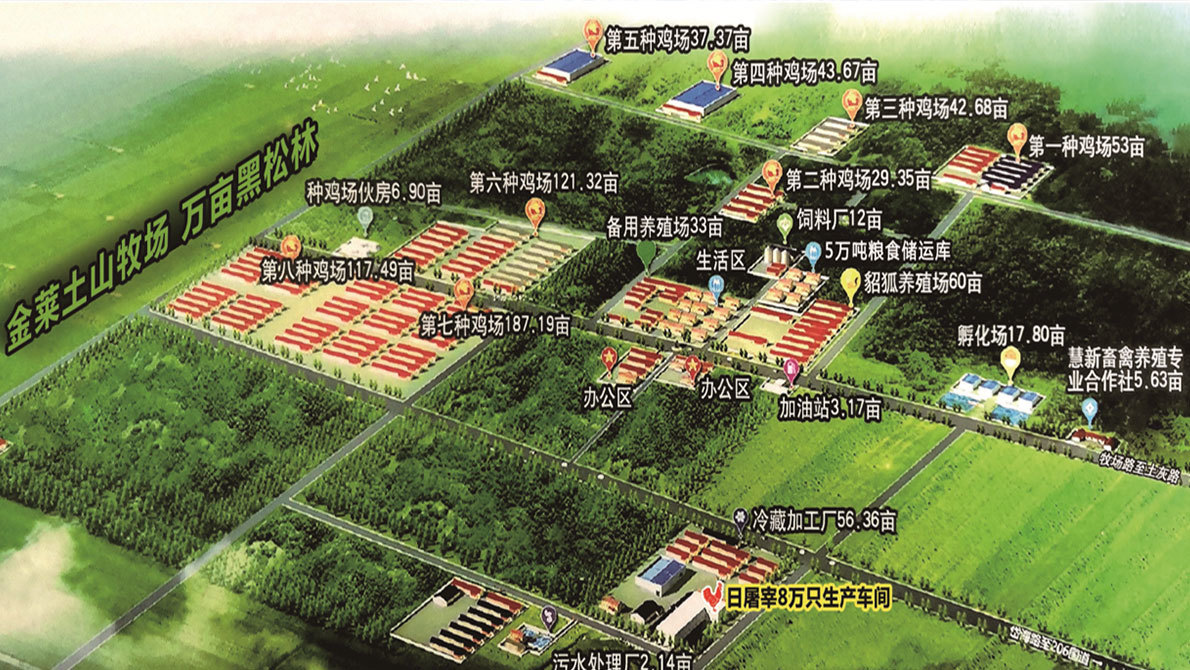 视频标题 视频标题