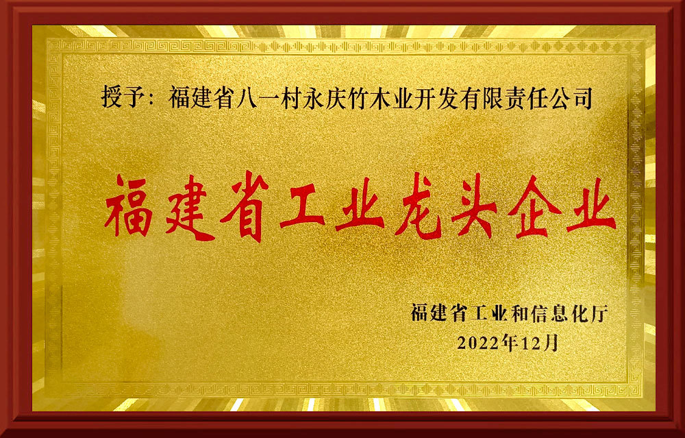 福建省工业龙头企业 福建省工业龙头企业