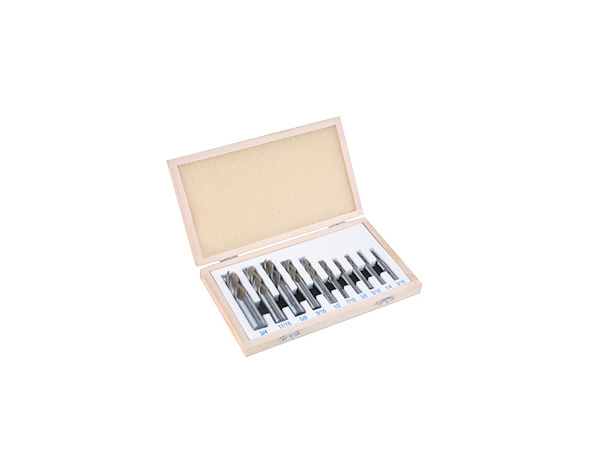 10 Pieces END Mill Set (2 &4 Flute) METRIC