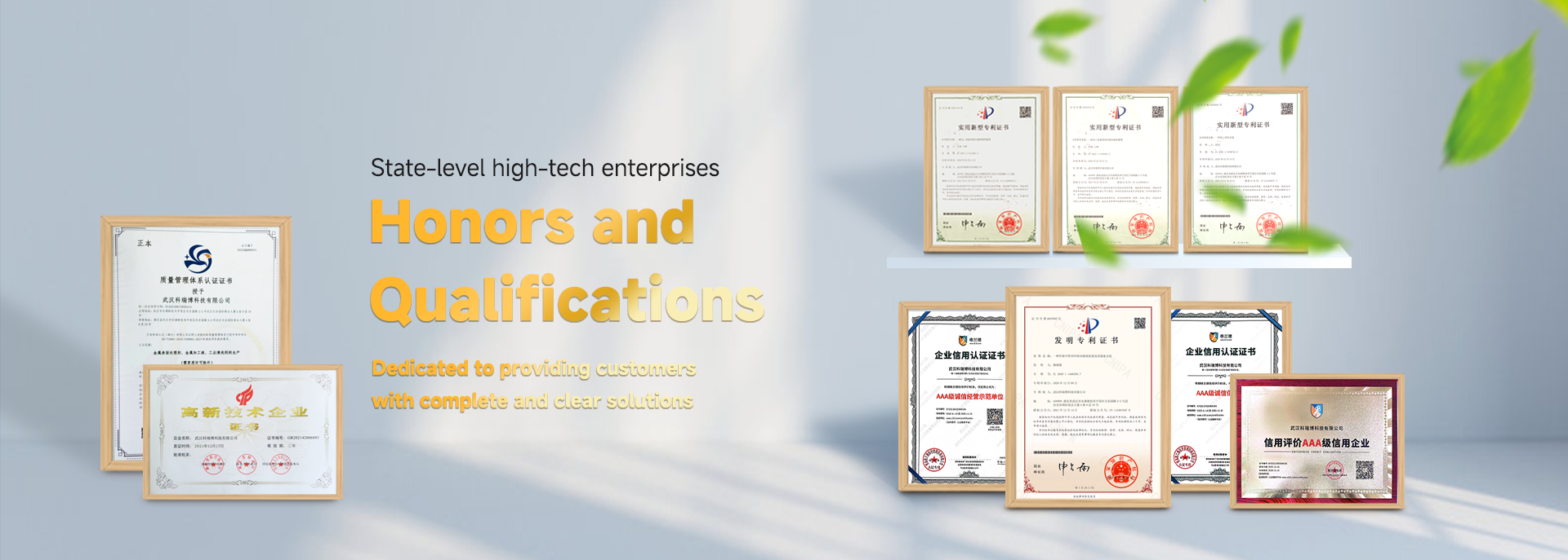 Wuhan Keribo Technology Co., Ltd.