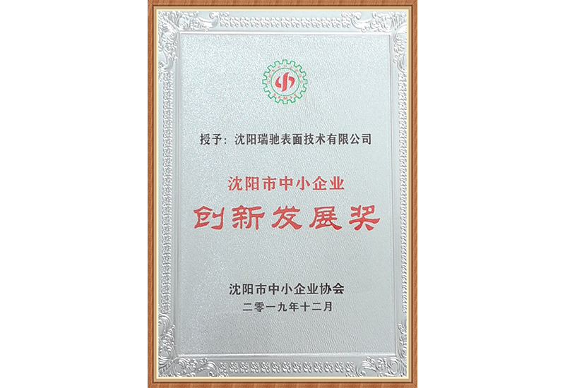 沈阳市中小企业创新发展奖