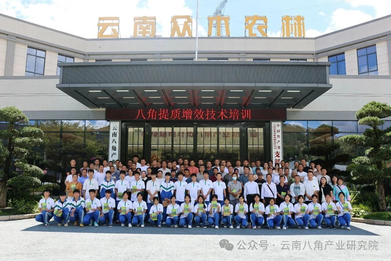 多方共聚学技，同心携手赋能——八角提质增效技术培训圆满完成