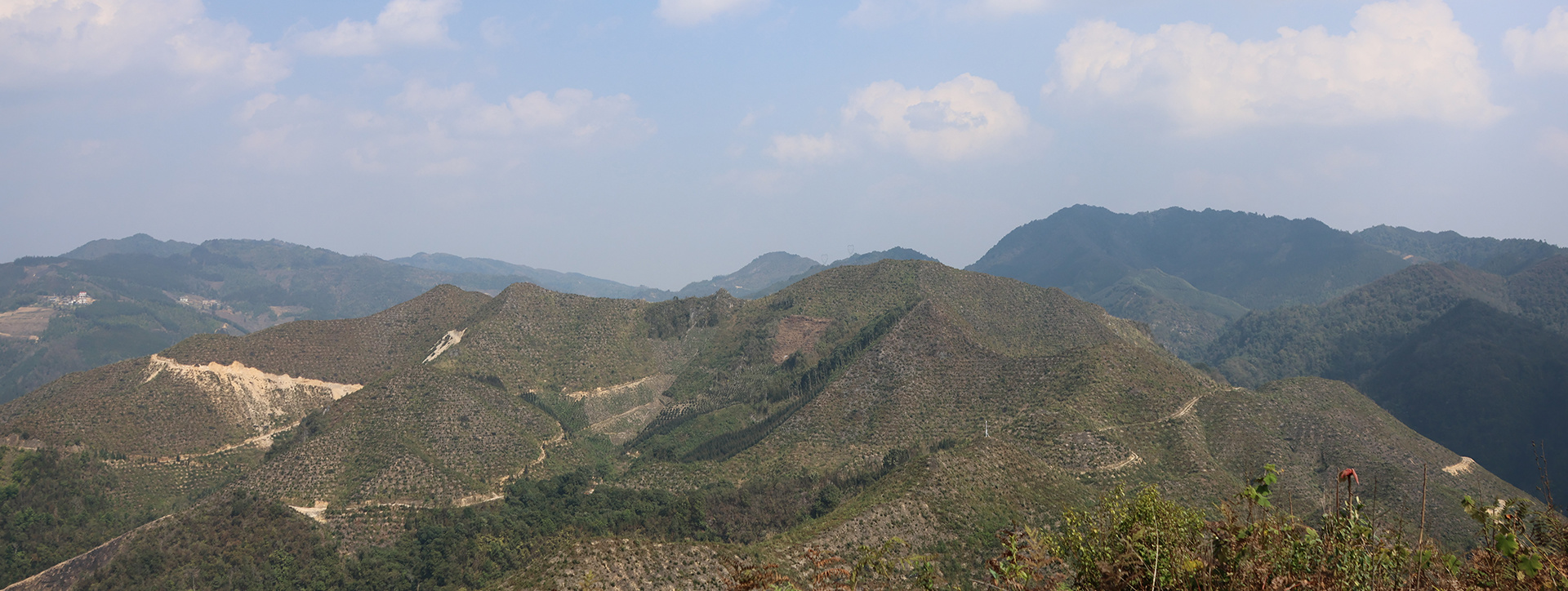 高标准化种植示范基地