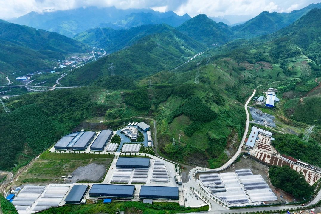 云南众木产业工人队伍建设有“妙招”