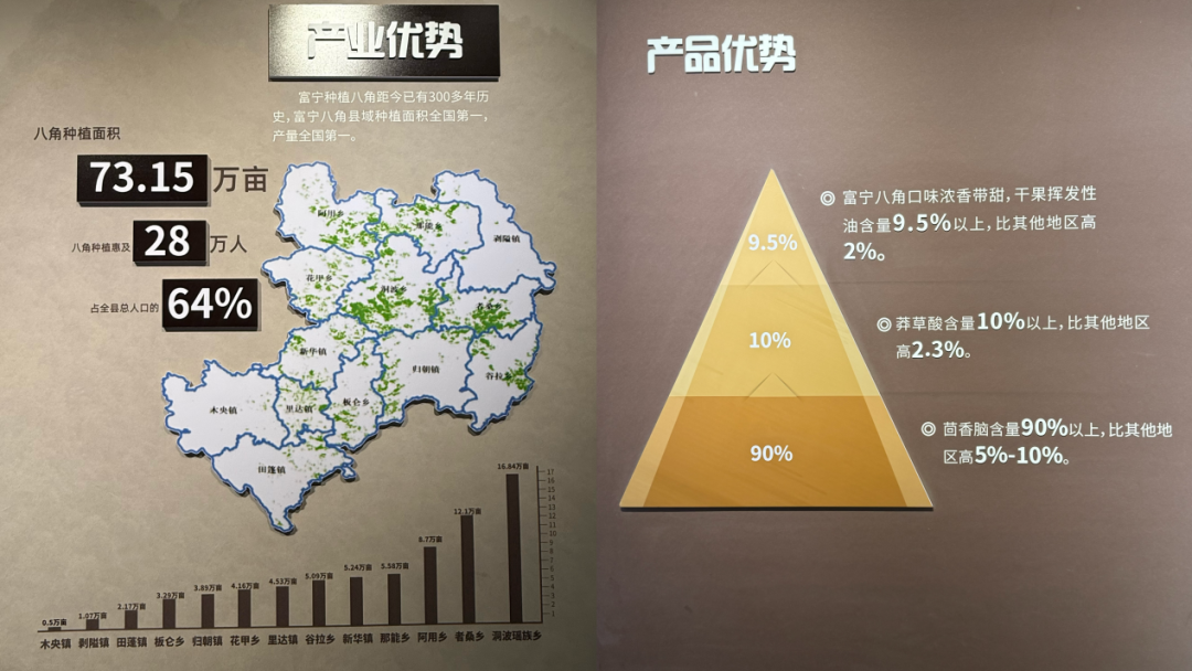 “832平台”赋能特色产业 持续擦亮“富宁八角”金字招牌