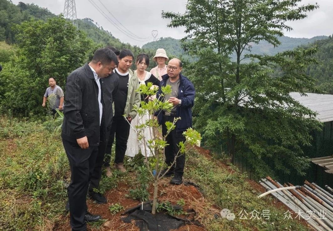 红河州绿春县三猛乡组团到云南众木农林发展有限公司考察学习