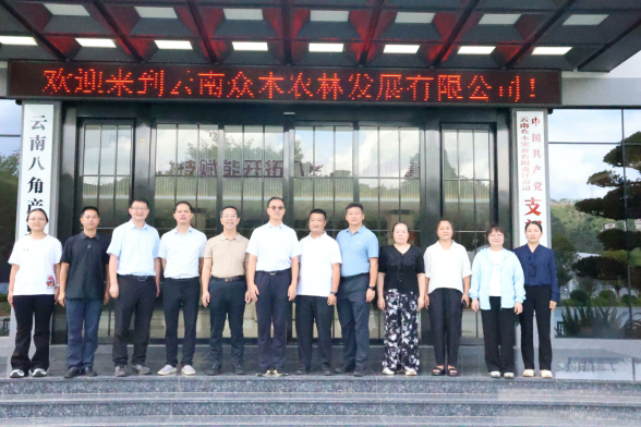 科技赋能八角全产业链，中国热科院助力富宁打造特色产业“金名片”