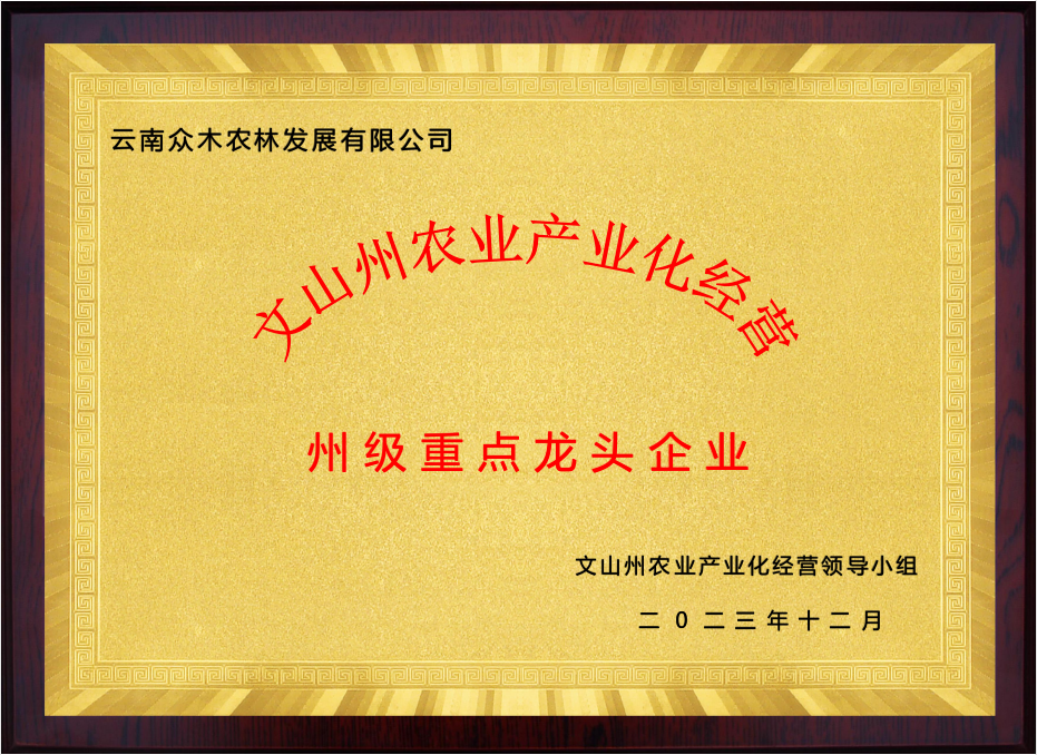 州级企业单位