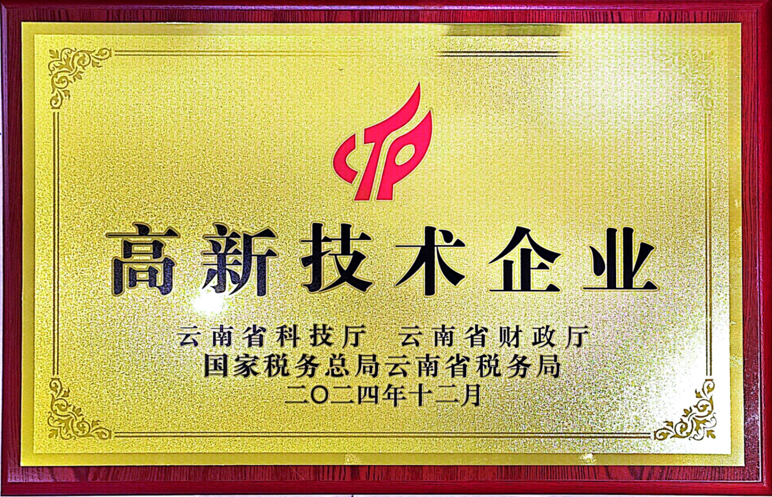 高新技术企业
