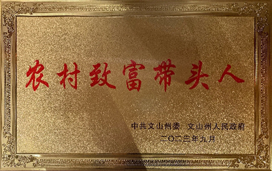 农村致富带头人