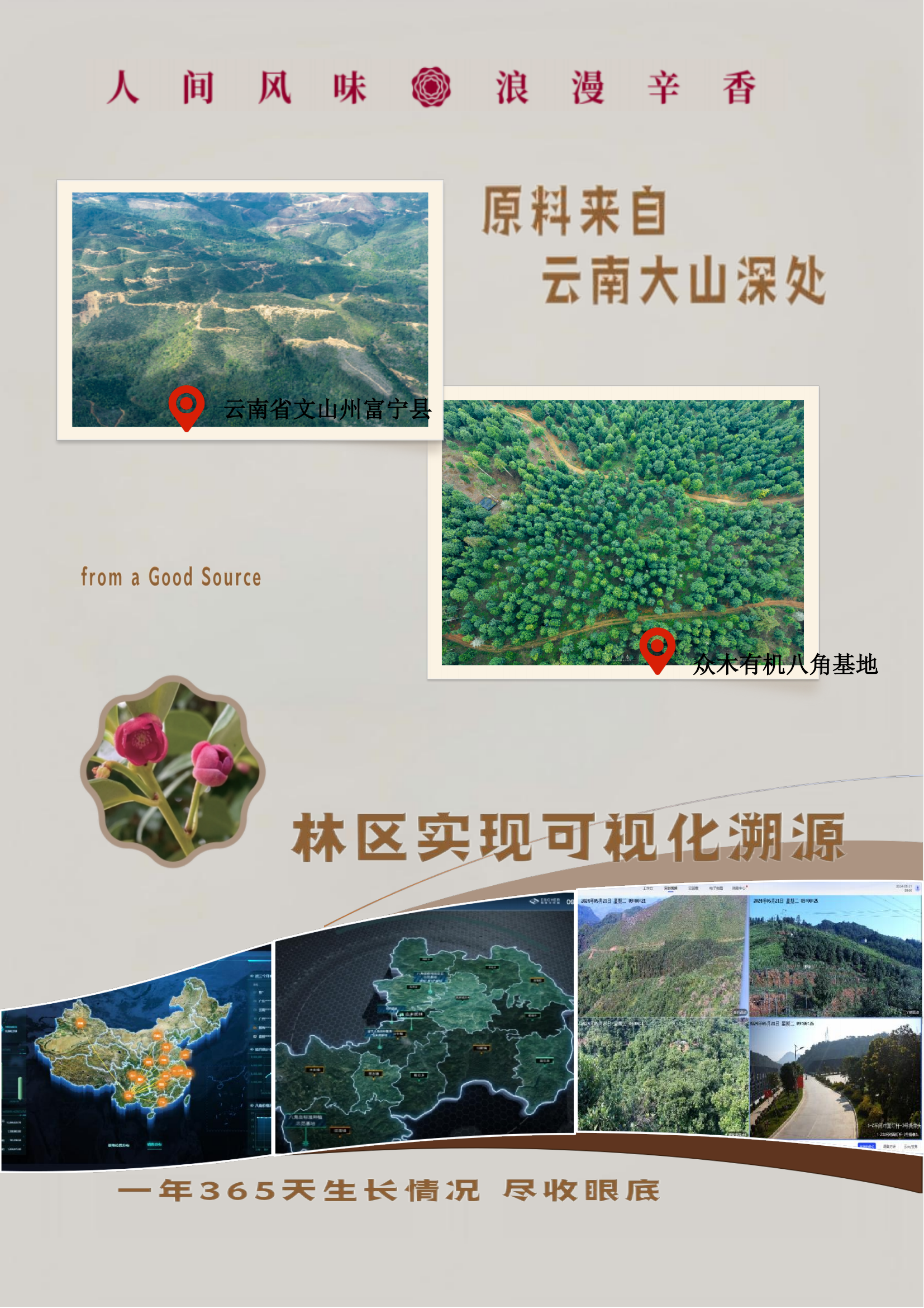 八角