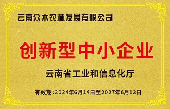创新性中小企业