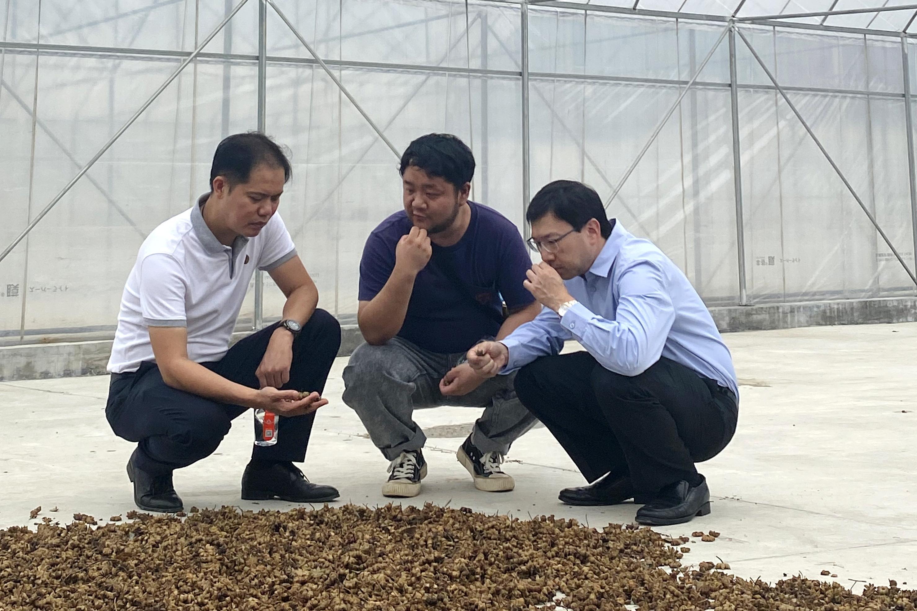 【科技日报】“90后”博士：团助力激活“八角之乡”全产业链