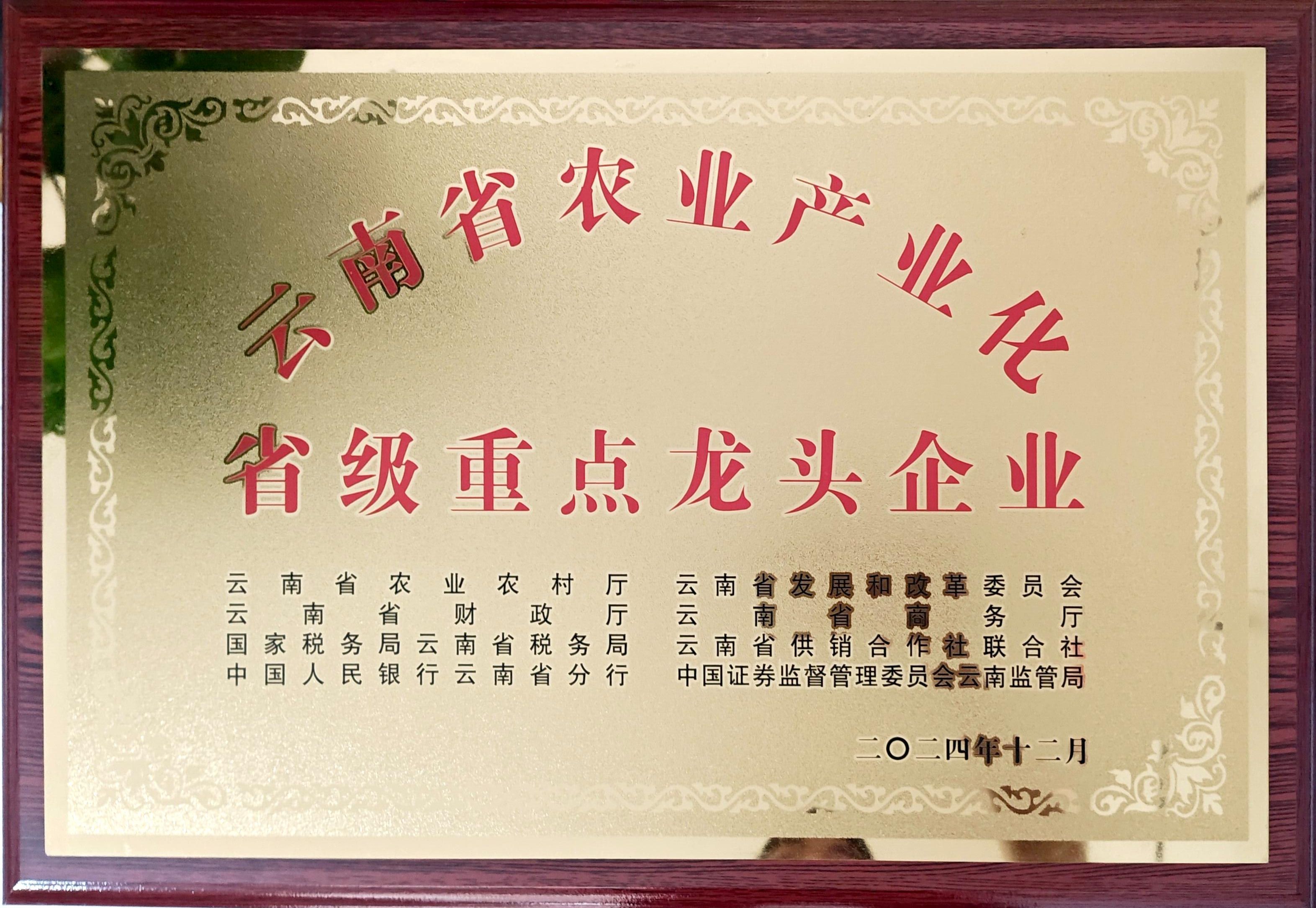 省级重点龙头企业