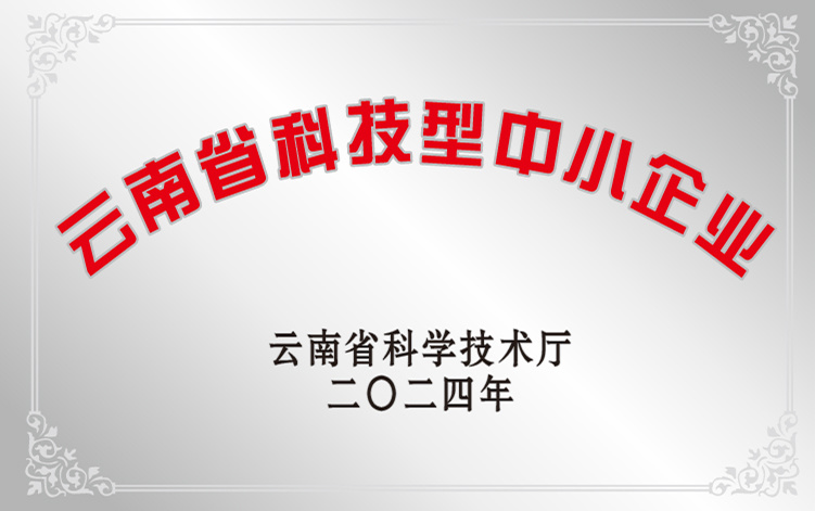 科技型中心企业