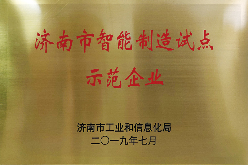 2019濟(jì)南市智能制造試點(diǎn)示范企業(yè)