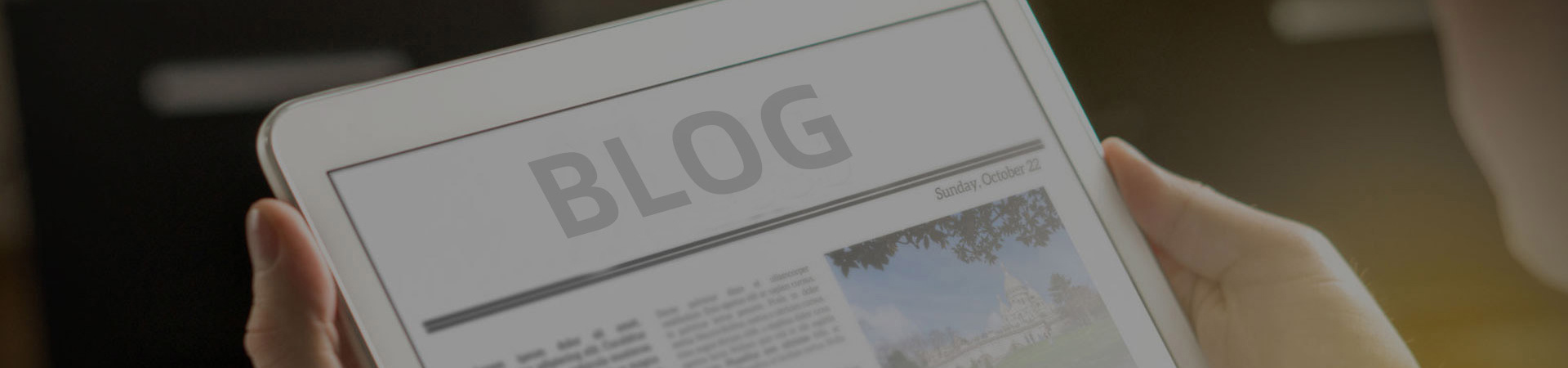 BLOG & EVENT