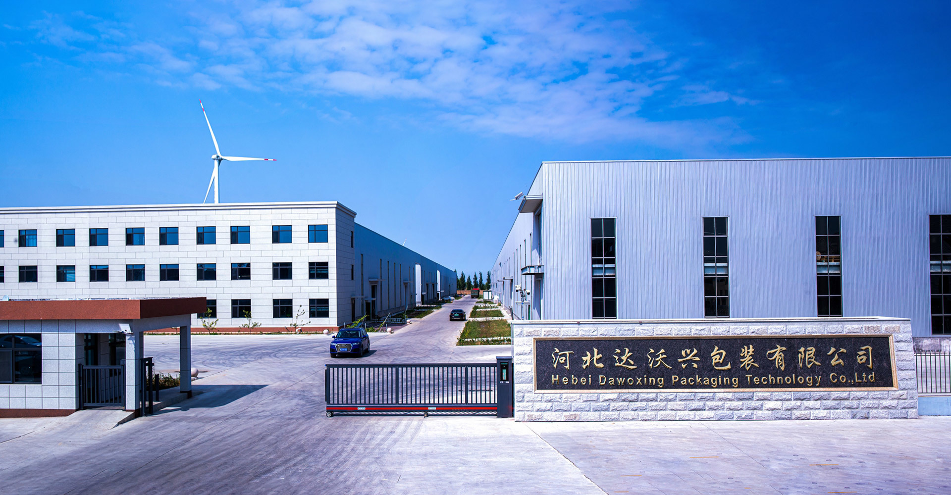 Hebei Dawoxing Packaging Technology Co., Ltd.