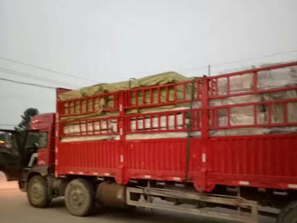 Delivery site