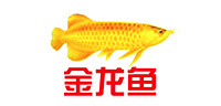 Arowana