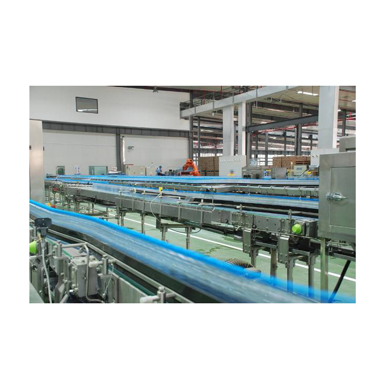 Conveying system