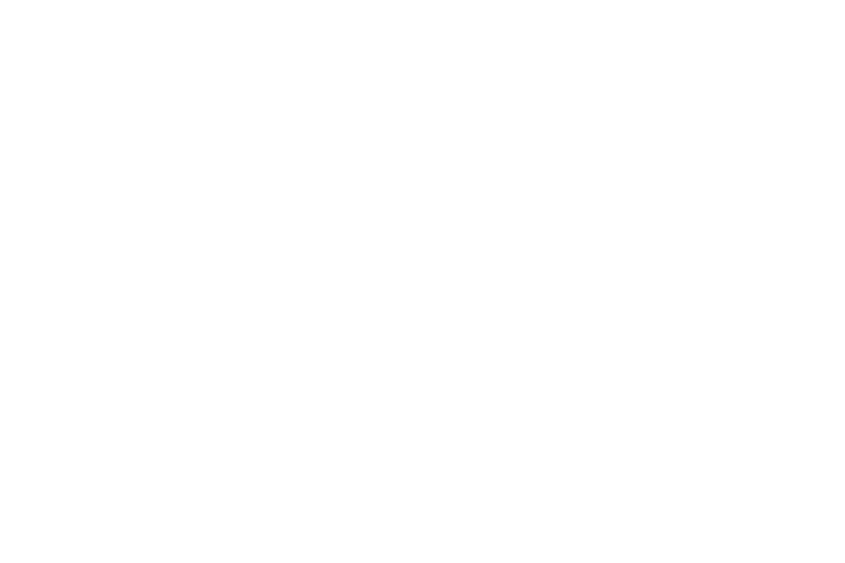 development process