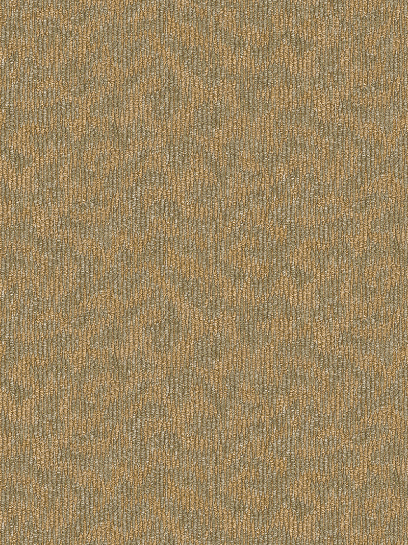 PG8688-1