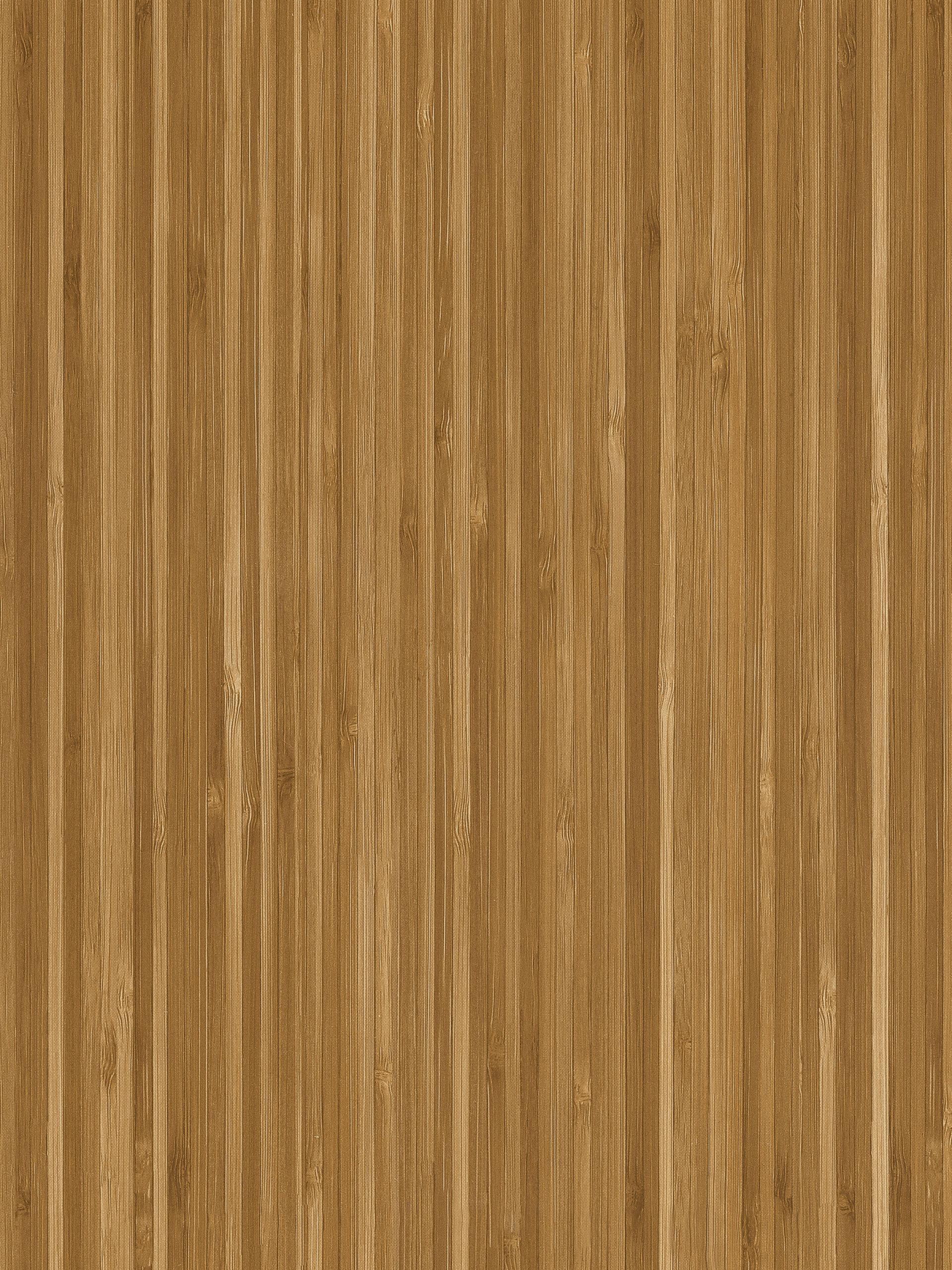 PG6381-10
