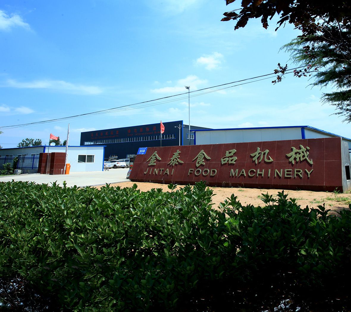 视频标题