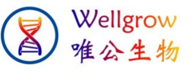 图片名称 图片名称