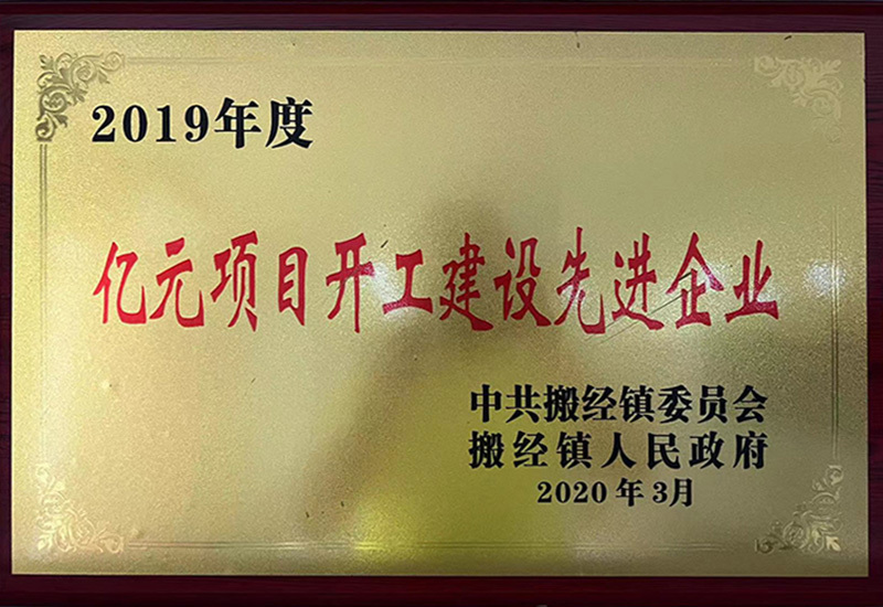 2019年度亿元项目开工建设先进企业