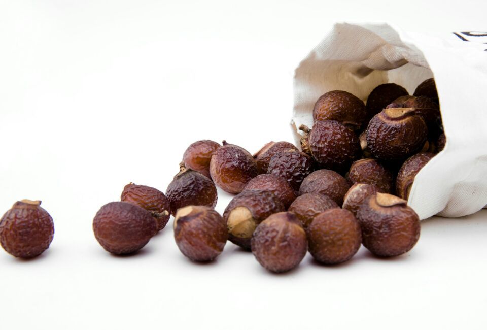 C12. Extracto de Soapnut (extracto de Sapindus Murkurossi Opel)