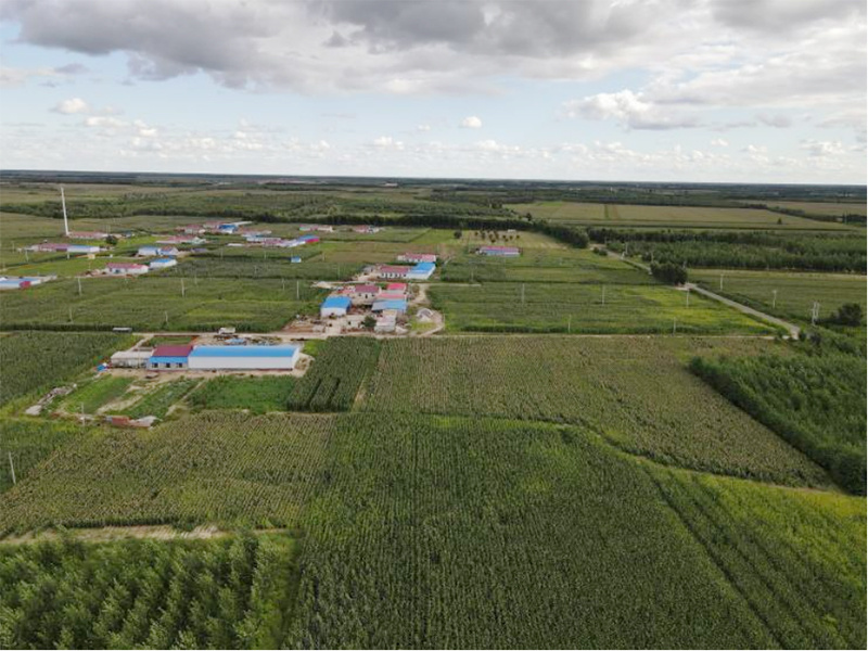 通榆县易地扶贫搬迁城乡建设用地增减挂钩试点项目