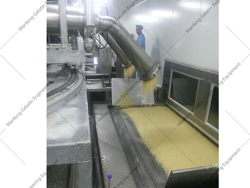 Continuous Band Dryer