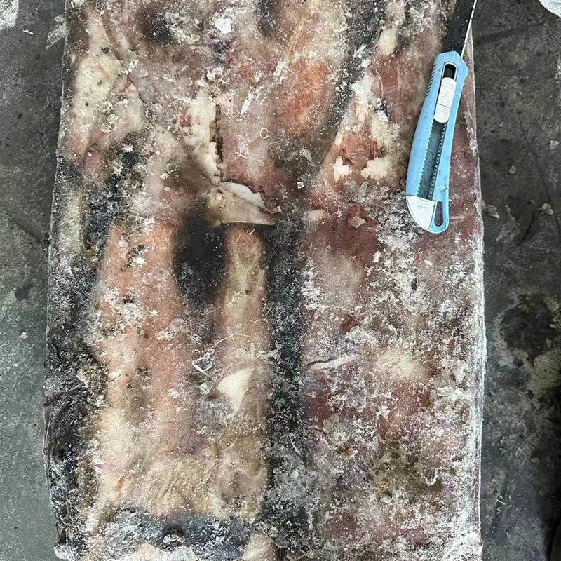 FROZEN PERU DIRTY DQUID TUBE FOR VITENAM MARKET