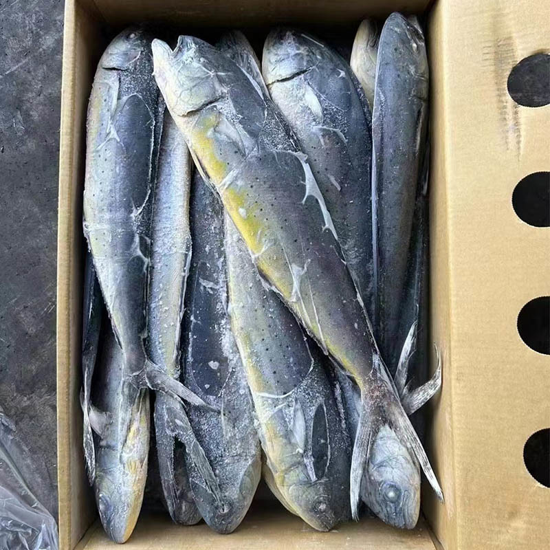 Discover the Versatility of Frozen Tilapia in Global Cuisines