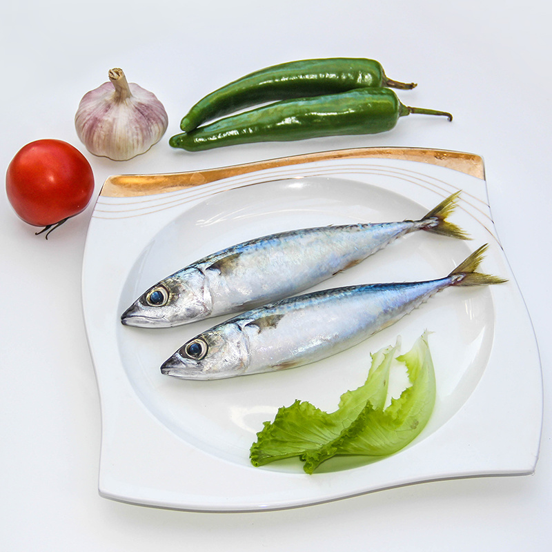 Pacific Mackerel Scomber Japonicus