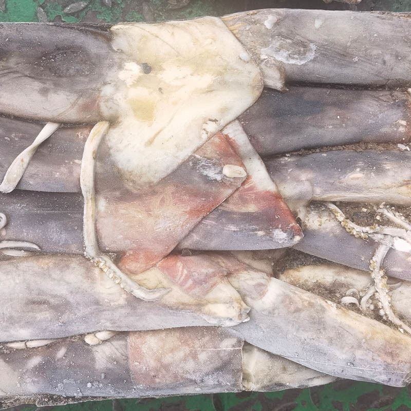 Wholesale Woven Bag Dosidicus Gigas Frozen Giant Squid