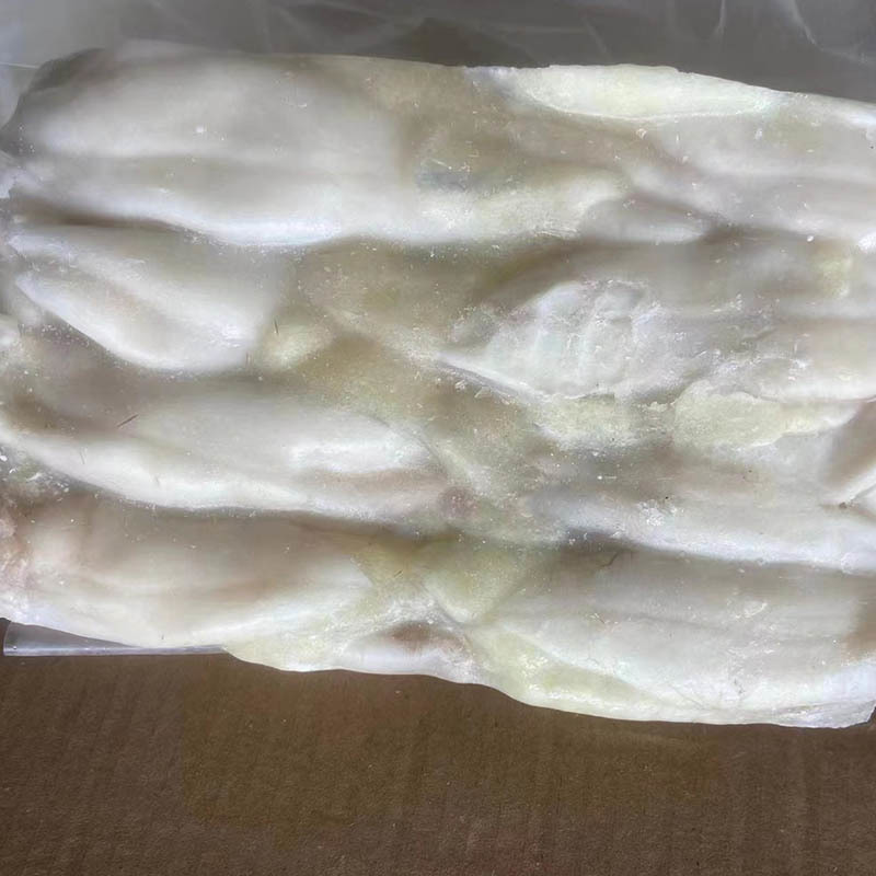 Exploring the Culinary Potential of Giant Squid Tube: A Unique Seafood Delicacy