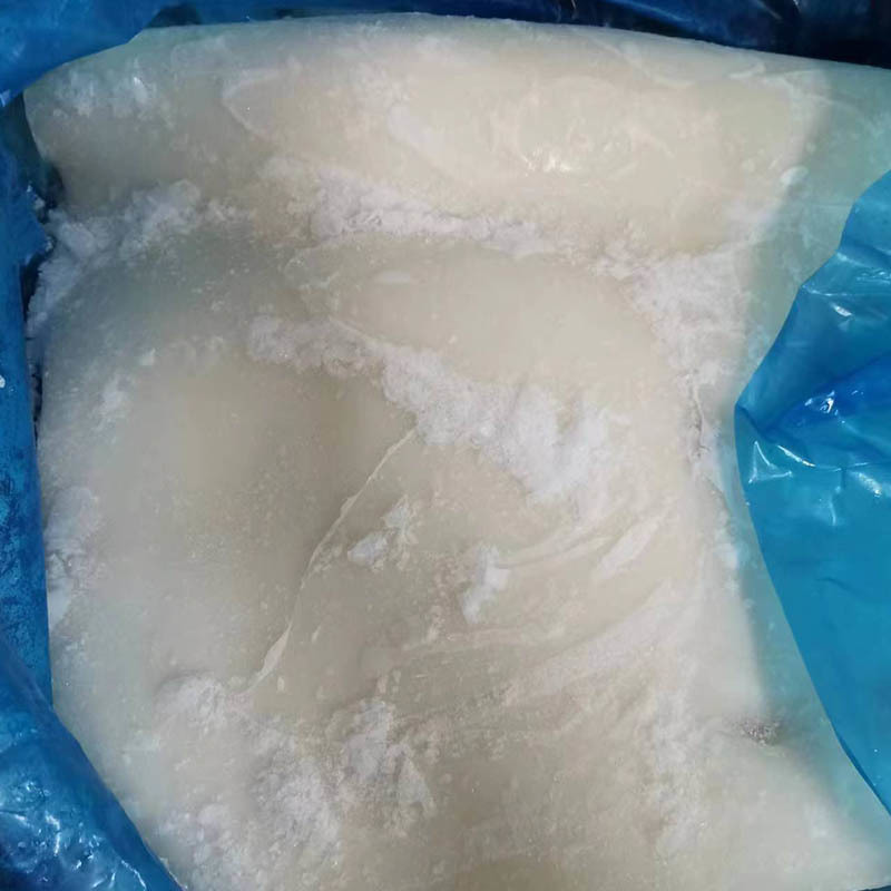 Frozen on board Frozen giant Squid fillet gigas fillet