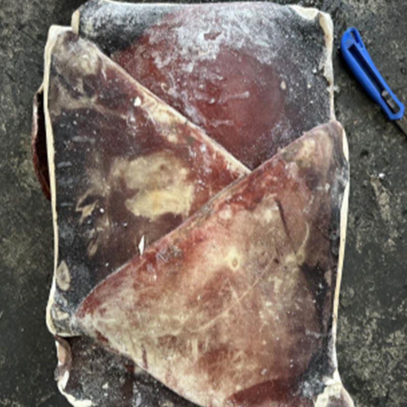 good quality squid meat frozen peru squid wing