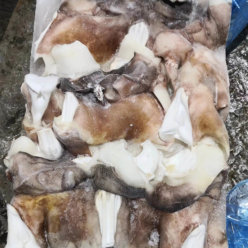 100% N.W. Frozen Peru Squid Neck Giant Squid Neck