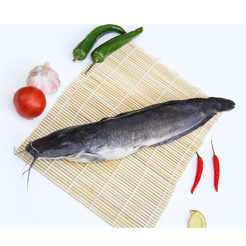 Catfish Clarius Fuscus Whole Round