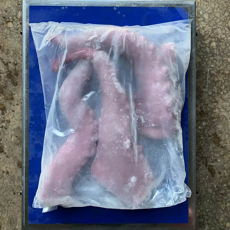 Exploring the Rich Flavors of Indian Ocean Squid: A Culinary Adventure