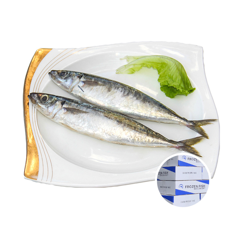 Round Scad Muroaji Decapterus Macrosoma