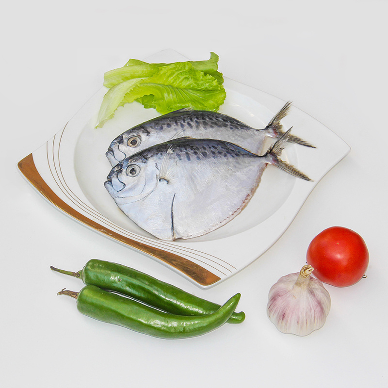 Moonfish Mene Maculata