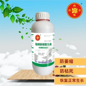 松树杉树救生员