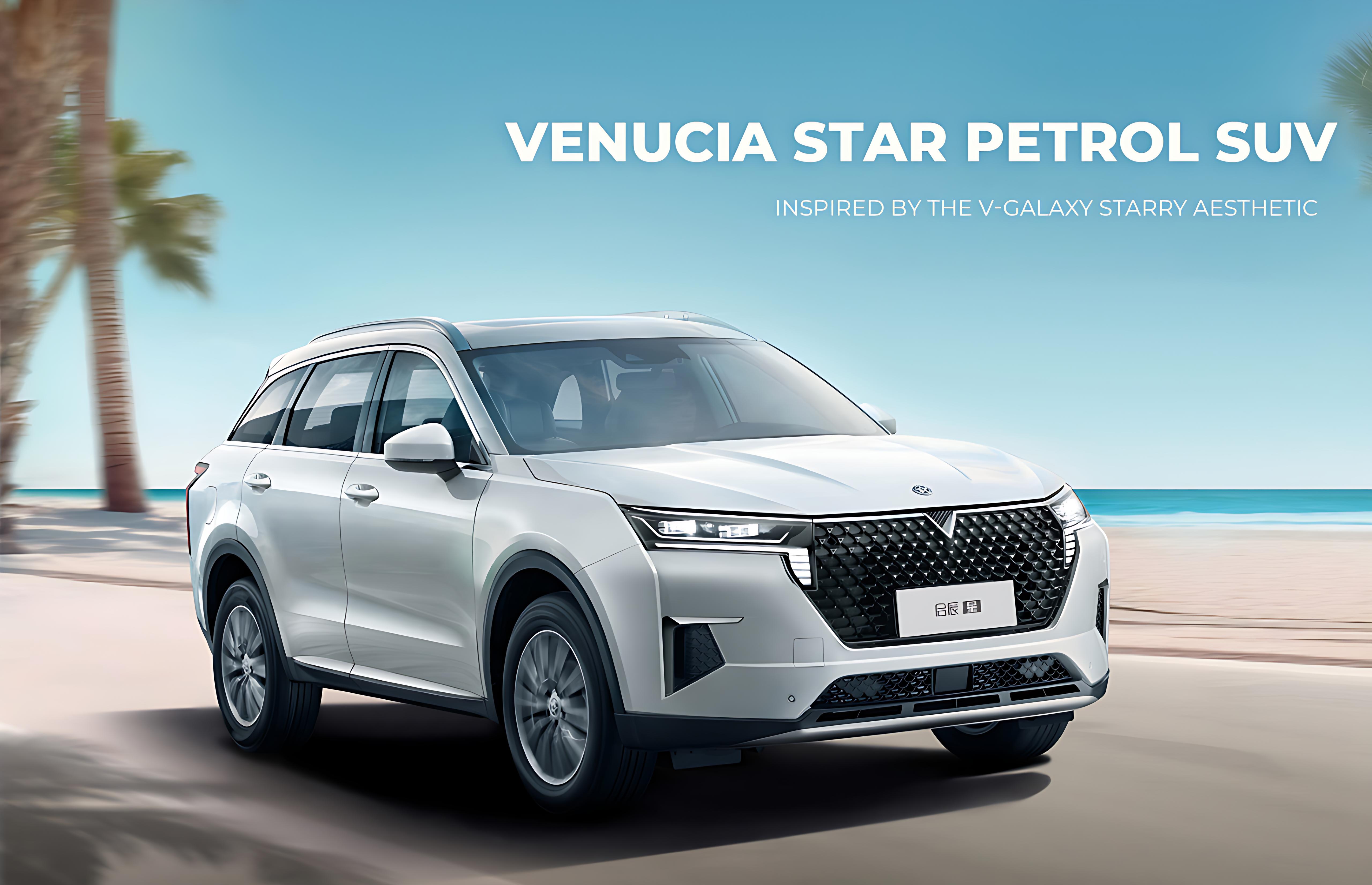 Outstanding Driving Quality and Ultra-Low Fuel Consumption: Is the Venucia Xing Worth the Investment?