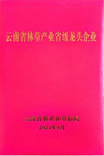 云南省林草產(chǎn)業(yè)省級(jí)龍頭企業(yè)